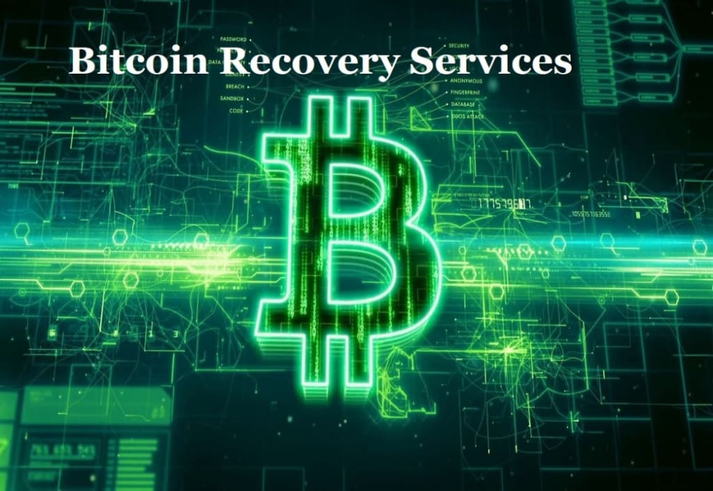 How to Get a Professional Bitcoin Recovery Expert